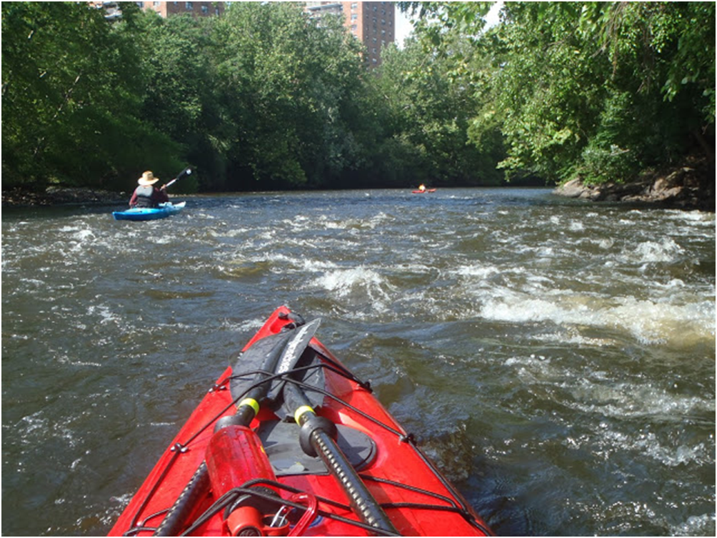 Kayak 4